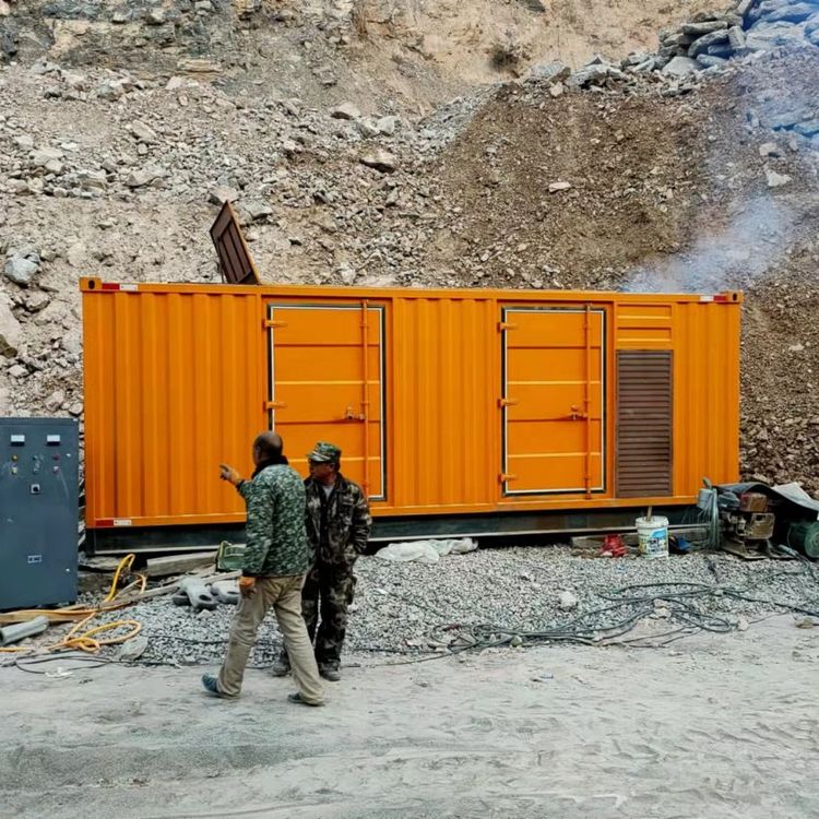 崇仁如何选择适合自己的 800KW 柴油发电机组？